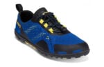 Blue / Yellow