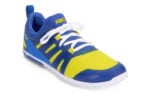 Victory Blue / Sulphur
