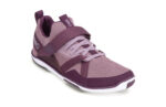 Elderberry / Fig