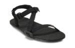 Coal Black / Black