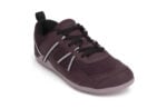 Fig / Elderberry