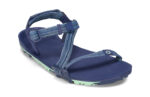 Blue Indigo